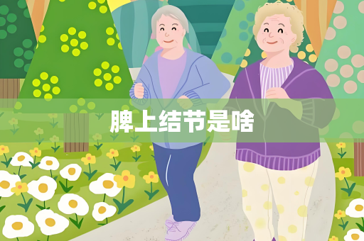 脾上结节是啥