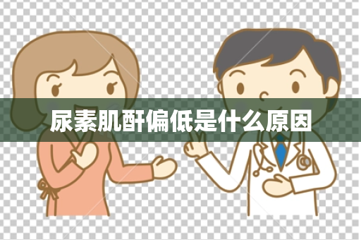 尿素肌酐偏低是什么原因