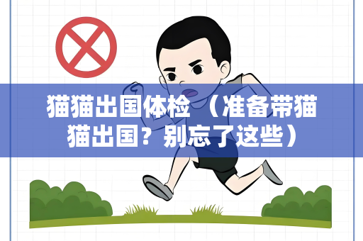 猫猫出国体检 （准备带猫猫出国？别忘了这些）