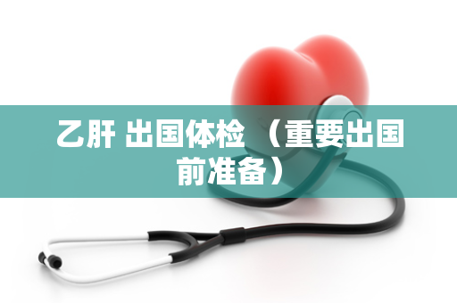乙肝 出国体检 （重要出国前准备）
