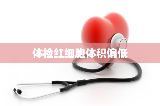 体检红细胞体积偏低
