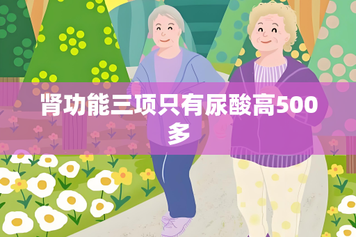 肾功能三项只有尿酸高500多