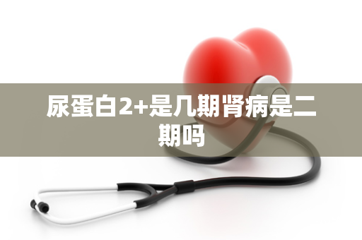 尿蛋白2+是几期肾病是二期吗