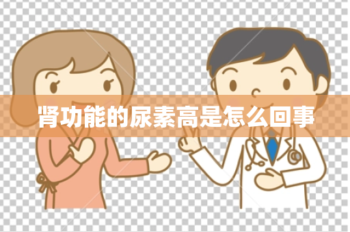 肾功能的尿素高是怎么回事