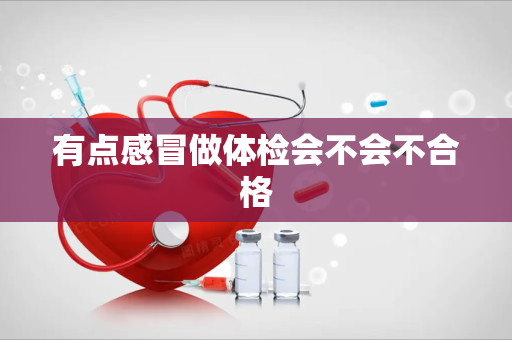 有点感冒做体检会不会不合格