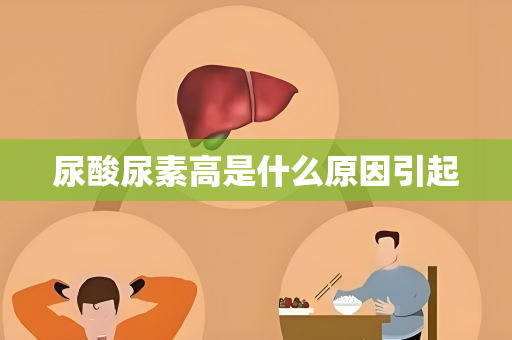 尿酸尿素高是什么原因引起