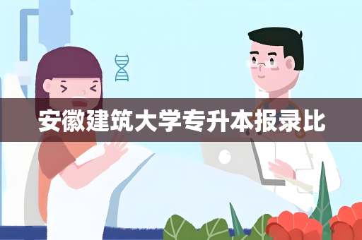 安徽建筑大学专升本报录比