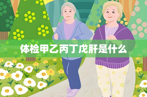 体检甲乙丙丁戊肝是什么