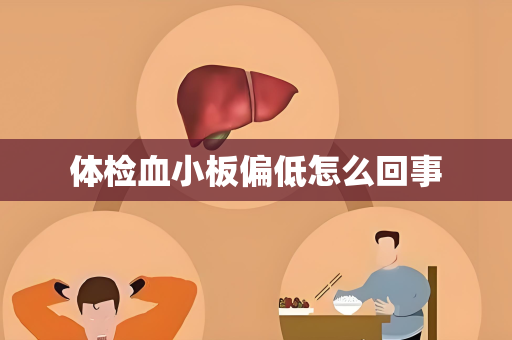 体检血小板偏低怎么回事