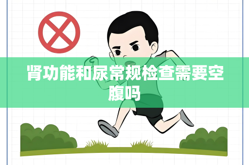 肾功能和尿常规检查需要空腹吗