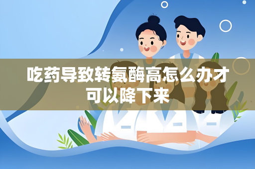 吃药导致转氨酶高怎么办才可以降下来