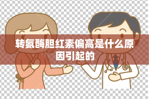 转氨酶胆红素偏高是什么原因引起的