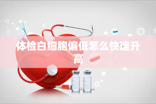 体检白细胞偏低怎么快速升高