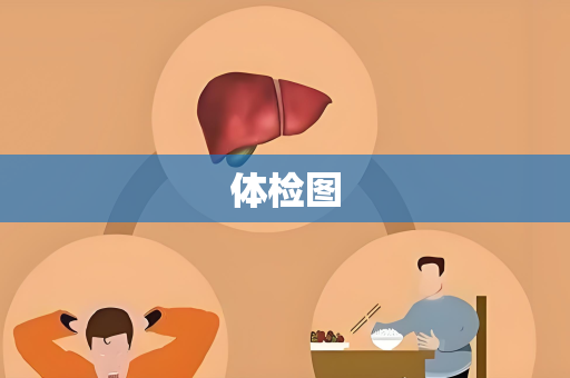 体检图