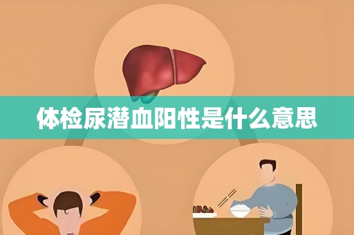 体检尿潜血阳性是什么意思