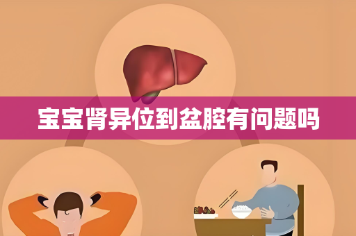 宝宝肾异位到盆腔有问题吗