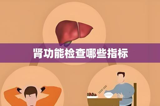 肾功能检查哪些指标