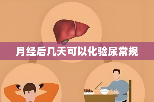 月经后几天可以化验尿常规