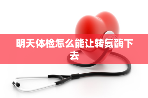明天体检怎么能让转氨酶下去
