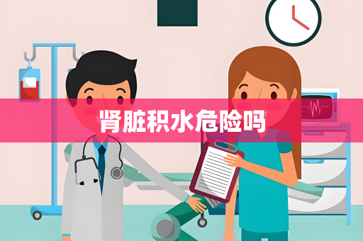 肾脏积水危险吗