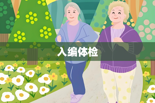 入编体检