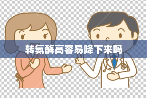 转氨酶高容易降下来吗