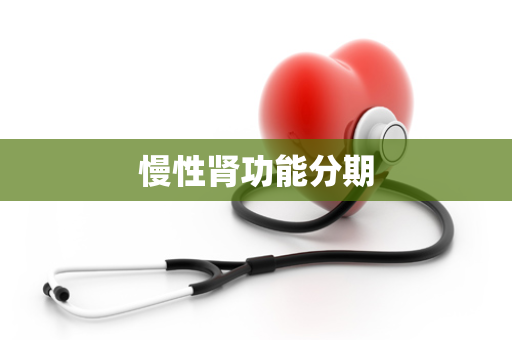慢性肾功能分期