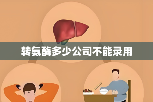 转氨酶多少公司不能录用