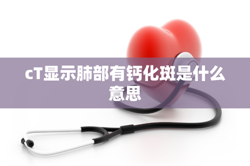 cT显示肺部有钙化斑是什么意思