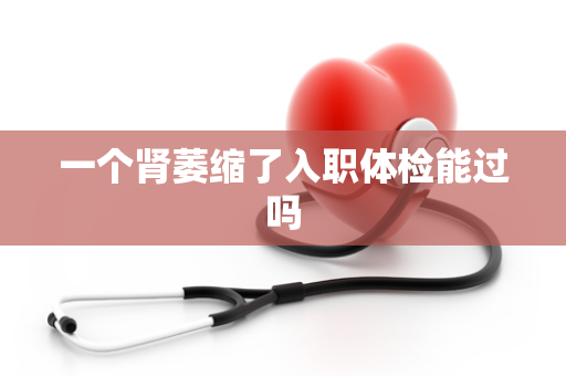 一个肾萎缩了入职体检能过吗