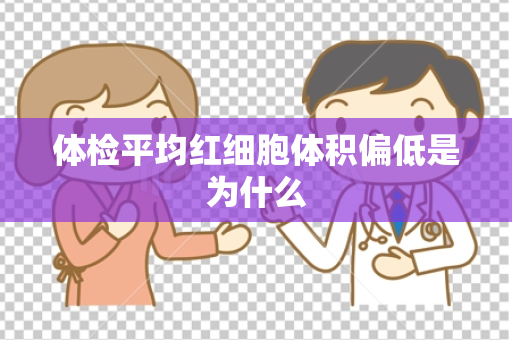 体检平均红细胞体积偏低是为什么