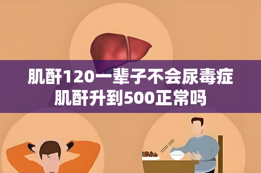 肌酐120一辈子不会尿毒症肌酐升到500正常吗