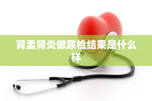 肾盂肾炎做尿检结果是什么样