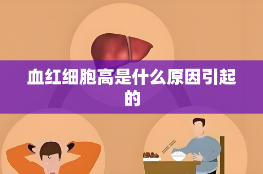 血红细胞高是什么原因引起的