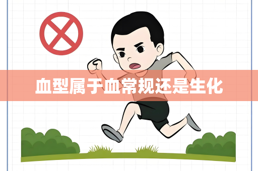 血型属于血常规还是生化