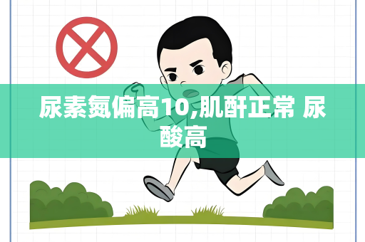 尿素氮偏高10,肌酐正常 尿酸高