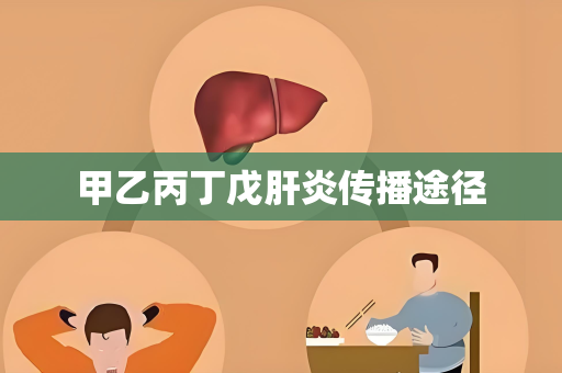 甲乙丙丁戊肝炎传播途径