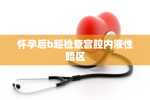 怀孕后b超检查宫腔内液性暗区