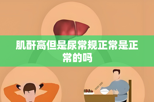 肌酐高但是尿常规正常是正常的吗