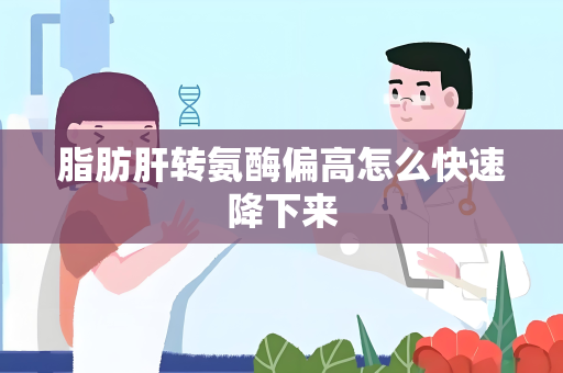 脂肪肝转氨酶偏高怎么快速降下来