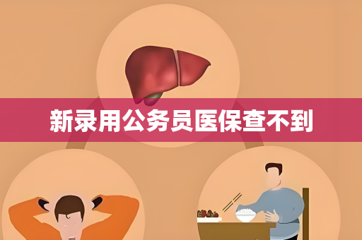 新录用公务员医保查不到