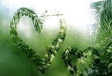 梅毒硬下疳图片自我鉴定