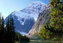 梅毒硬下疳图片自我鉴定