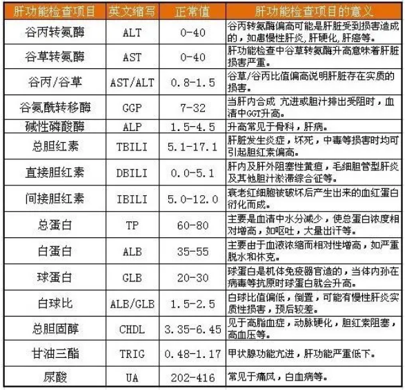 新西兰移民体检要求